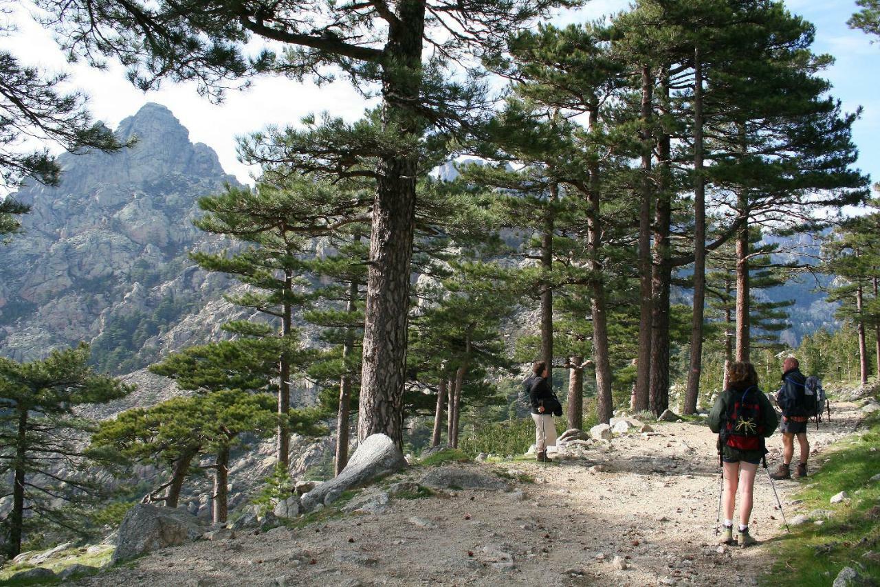 Village Del Mar Solaro Kültér fotó